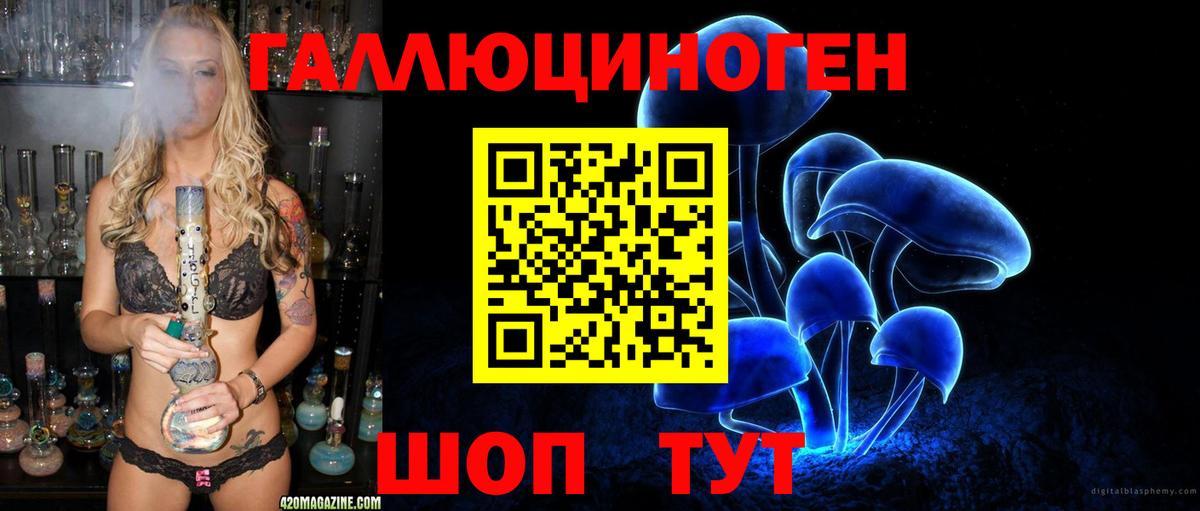 Пенза  Псилоцибиновые грибы Psilocybine cubensis  Вход с VPN  Псилоцибиновые грибы Psilocybine cubensis 